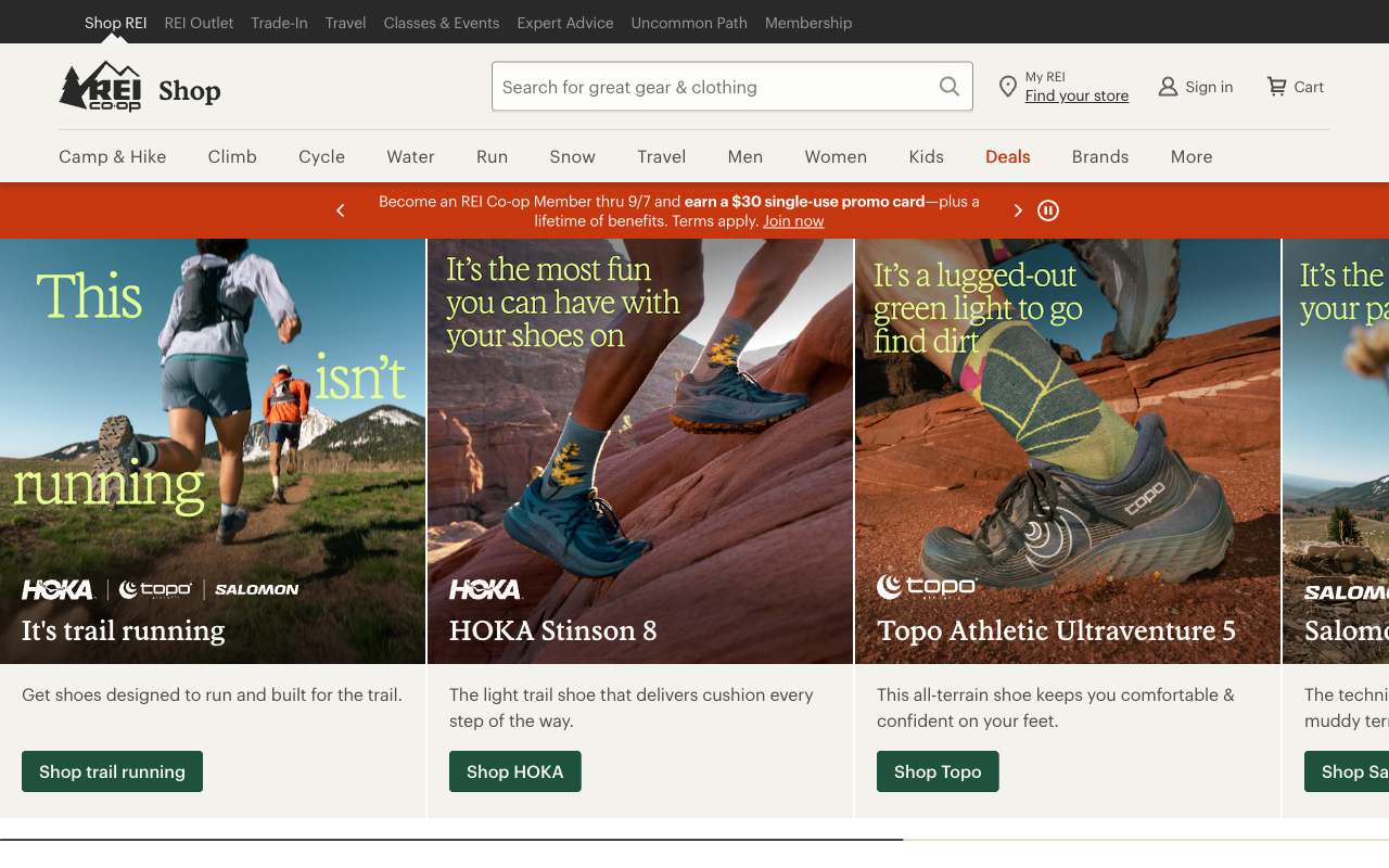 REI website preview